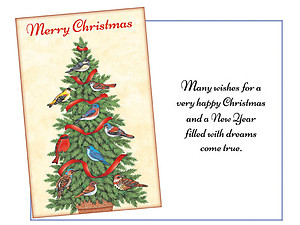 Filled With Dreams Come True ~ 6 Pack Holiday Greeting Cards