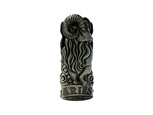 Aries Zodiac Astrology Lighter Case Fits Bic Lighters