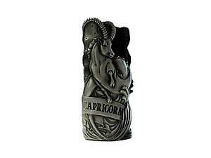 Capricorn Zodiac Astrology Lighter Case Fits Bic Lighters